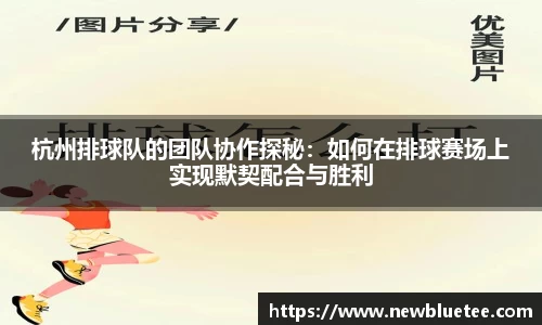 杭州排球队的团队协作探秘：如何在排球赛场上实现默契配合与胜利